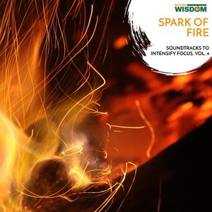 Fire Being Fed Lightly