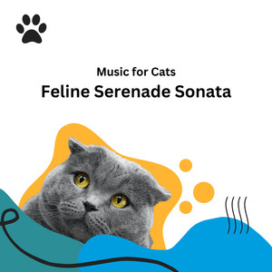 Windowsill Watch Music for Cats