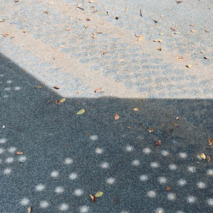 フラッシュバック