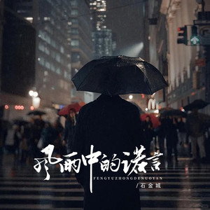 风雨中的诺言