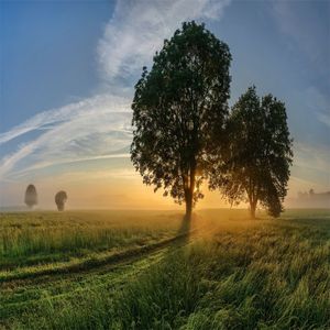 费启鸣-你的答案（乄乄 remix）