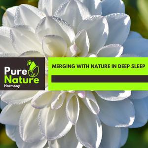 Palatable Beach Ripple