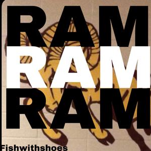 RAM