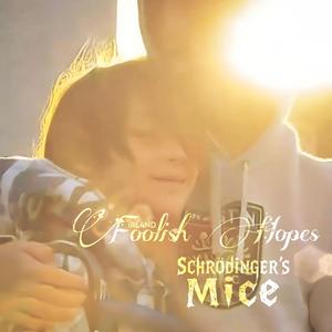 Foolish Hopes (feat. Schrödinger's Mice)