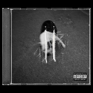 LA SCIMMIA FA (feat. Nerone & Dani Faiv)