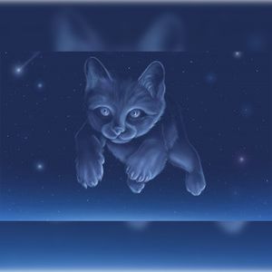 Кошка севера