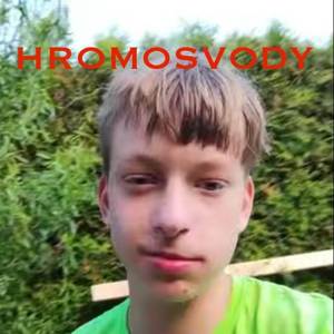 Hromosvody