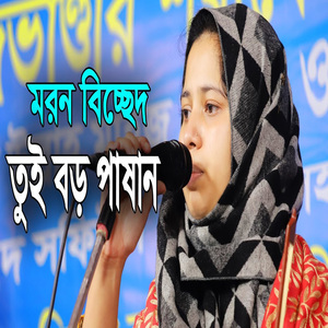 তুই বড় পাষান রে বন্ধ তুই বড় পাষান