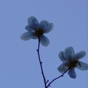 第一首歌不知道叫什么但是希望治愈到你吧（prod by.毒猫毒猫）