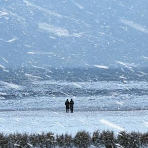 最遗憾是我们没结果