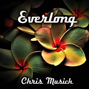 Everlong (Cover)