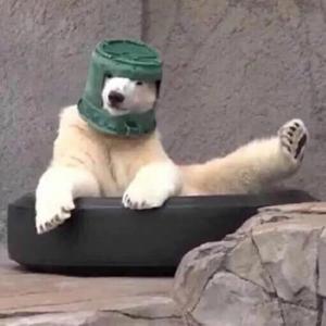 [小少年ver]小城夏天