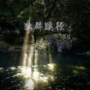 独辟蹊径（Prod.Averatec）