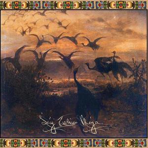 Bezkresu Nieba O Los Nasz Pytaj