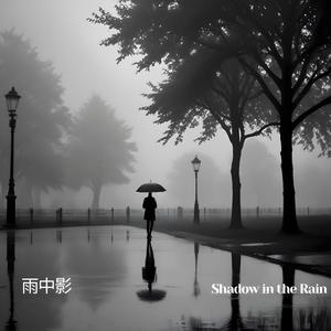 雨中影 (Shadow in the Rain)