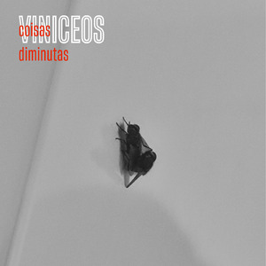 coisas diminutas