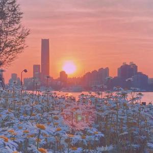 简单（翻自 谢先生/牟天任）