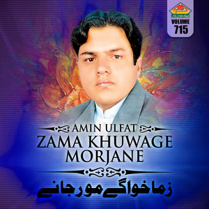 Janana Bewafa Awis Dastargi