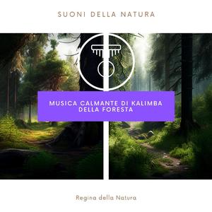 Raggiungere la consapevolezza