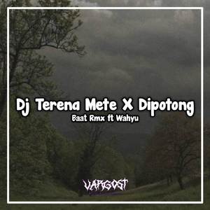 Dj Terena Mete X Dipotong Potong Kane (Viral Tik Tok)