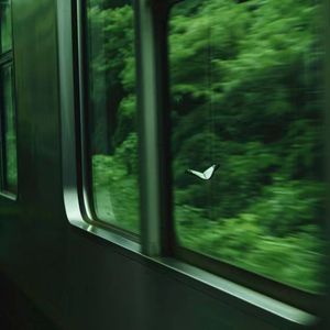 你是我的风景（吉他版）