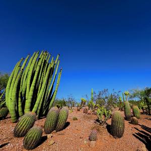 Apollo (It's Only Sea)