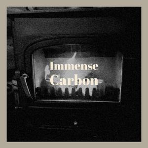 Timid Miscalculation