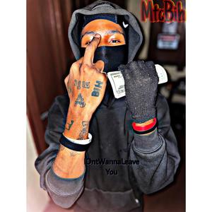 I Dnt want Leave You