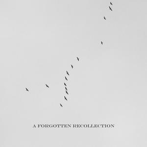 A Forgotten Recollection