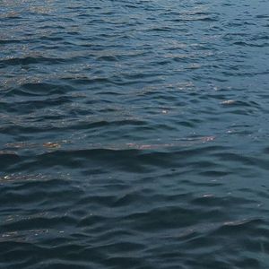 at sea