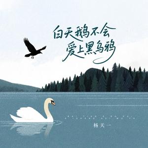 白天鹅不会爱上黑乌鸦