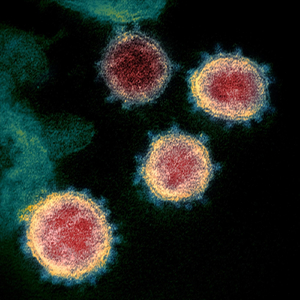 Coronavirus