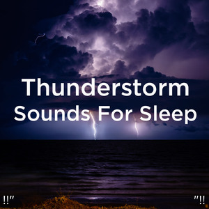 호우 잠