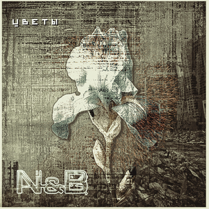 Цветы (Radio Edit)