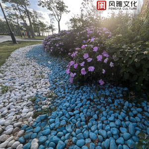 爱情纪念日 (小提琴)