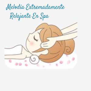 Nutrición Para La Piel