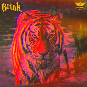 Brink (feat. Name James)