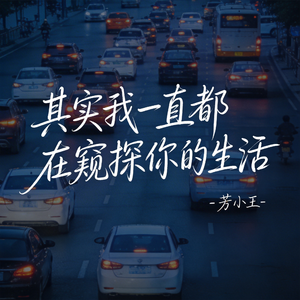 其实我一直都在窥探你的生活（原版）