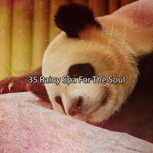 倾盆大雨的梦想