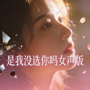 是我没选你吗女声版.mp3