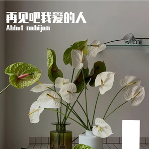 再见吧我的爱人