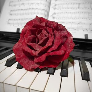 Mush Beezy (On Me) F