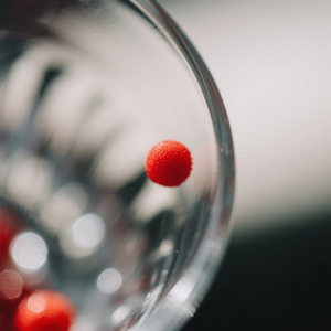 ชีวิตที่เต็มไปด้วยหนาม