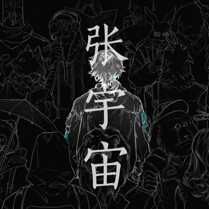 张宇宙封面