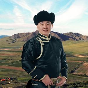 Тольтой мөнгөн эмээл