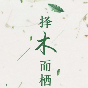 【剧情版】择木而栖