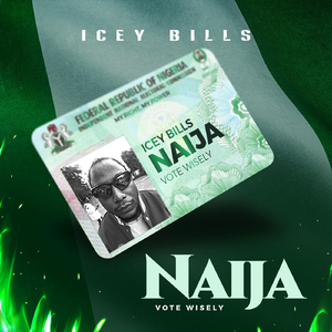 Naija ( Vote Wisely )