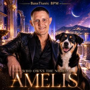 Amelis (Radio Edit)