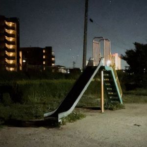 A Flying Bird(飞鸟)