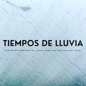 Ha Llovido Todo El Día